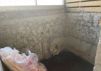 IMG_8311-1_R