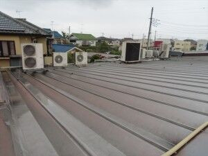 IMG_0056_R