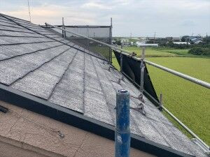 20190824 (11)_R