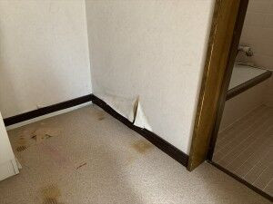 IMG_5051_R