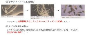 キャプチャ-4
