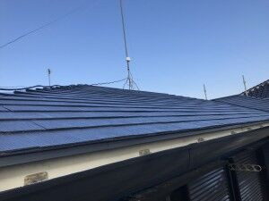 IMG_3992_R