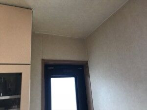 IMG_5655_R