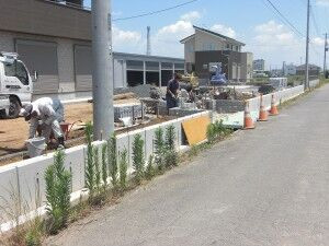 坂本邸0620 (1)